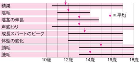 健康成長|青年の身体的成長と性的成熟